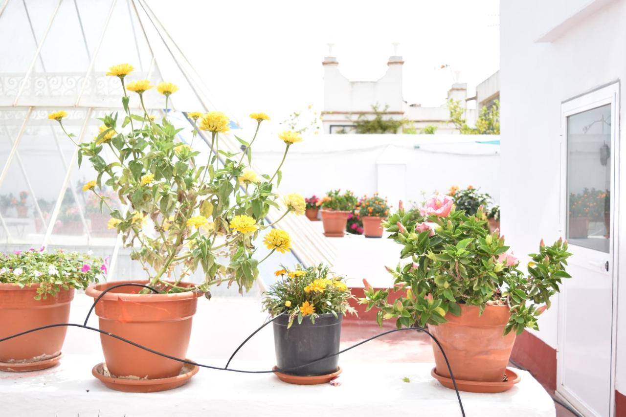 Apartamento La Discusión de Veedor 12 Cádiz Exterior foto