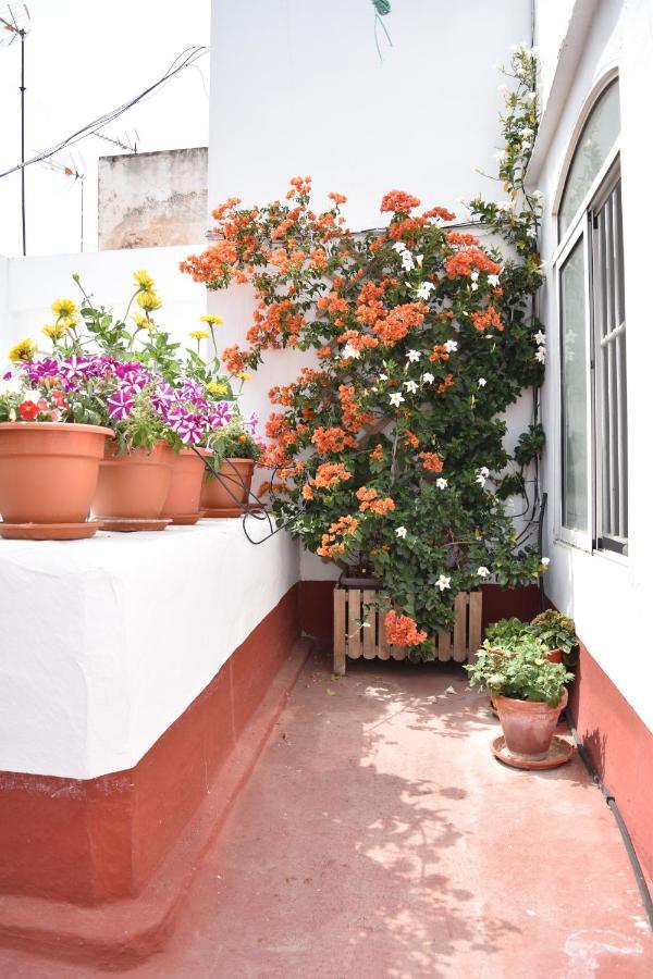 Apartamento La Discusión de Veedor 12 Cádiz Exterior foto